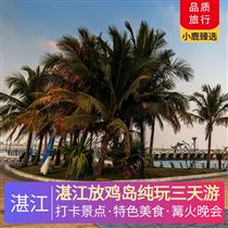 湛江放雞島純玩3天(獨家包島：篝火晚會、卡拉OK狂歡、豪住一晚島上酒店，“東方夏威夷”南海旅游島中國第一灘)